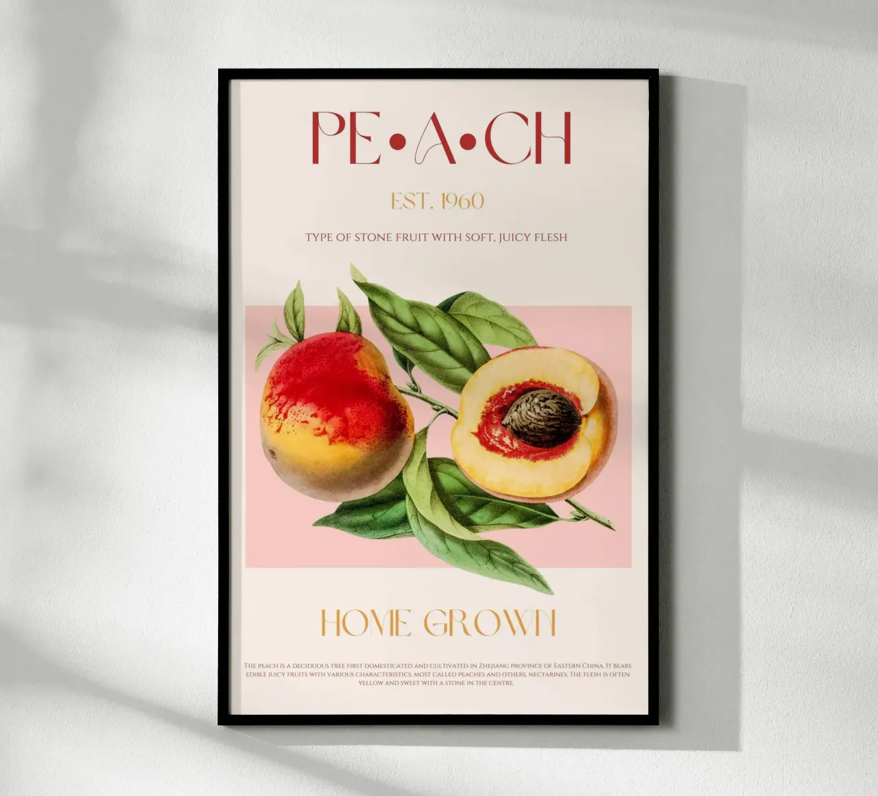 Pfirsich Obst Druck Poster von KOKRPrints