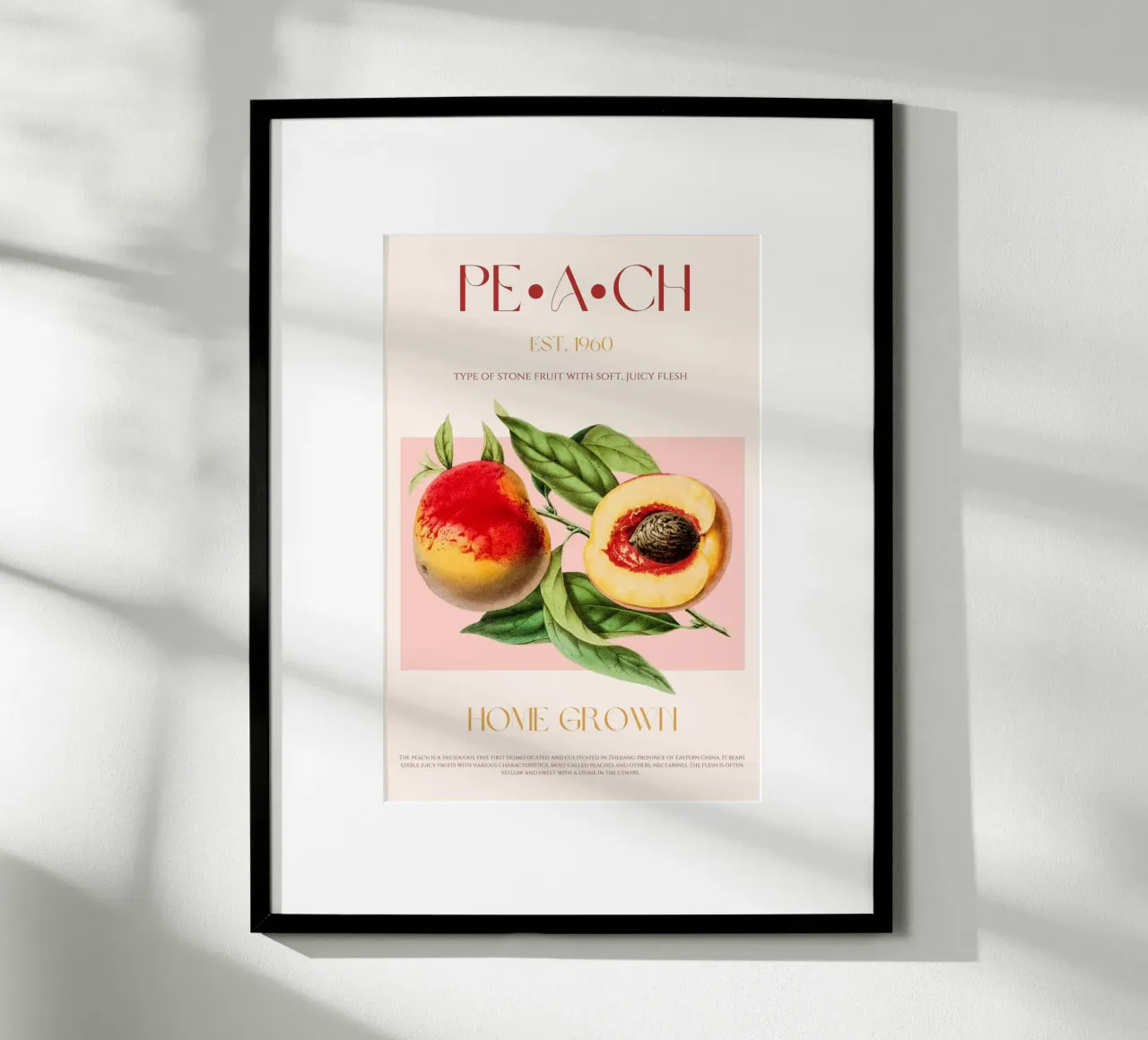 Pfirsich Obst Druck Poster von KOKRPrints