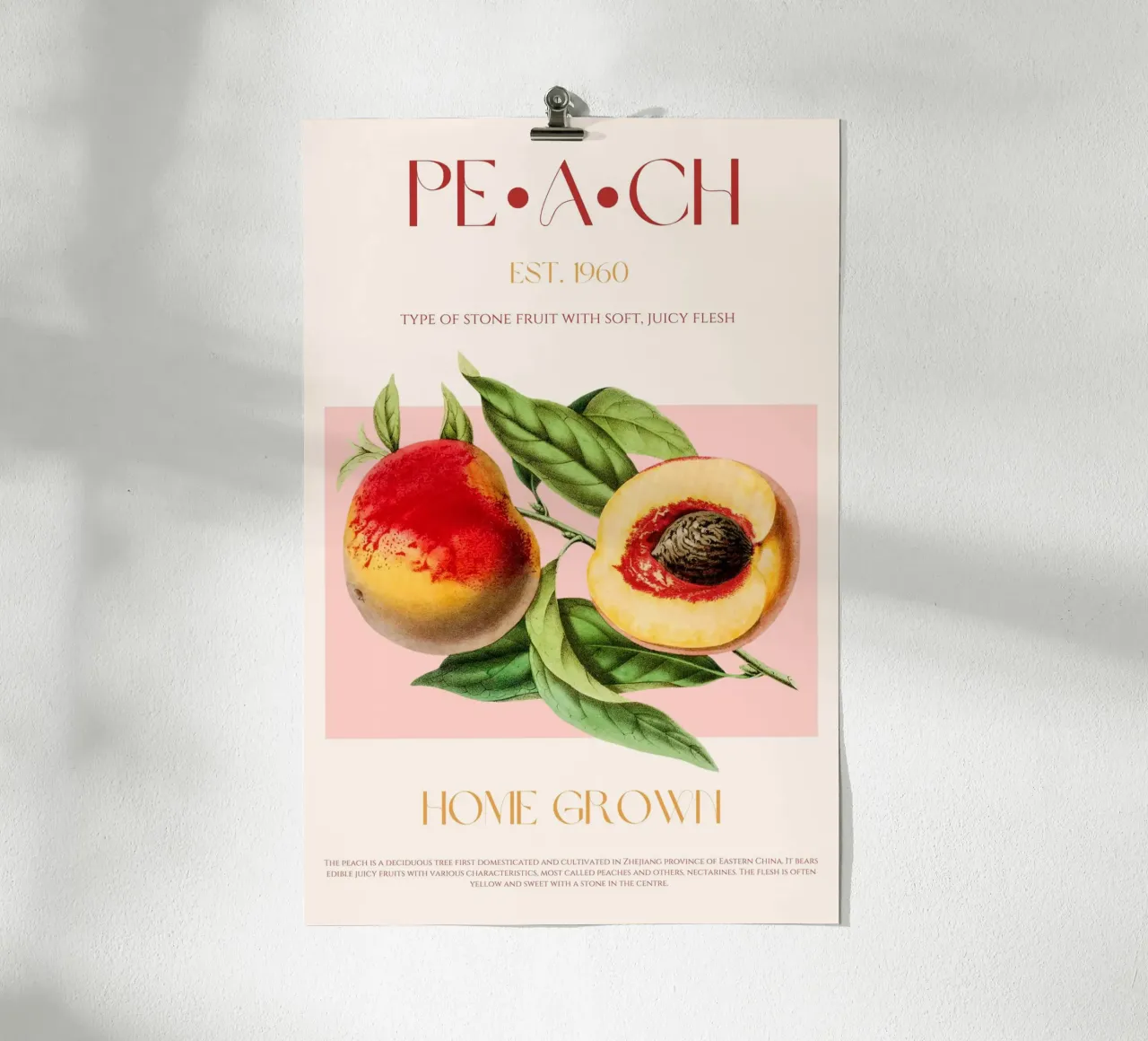 Pfirsich Obst Druck Poster von KOKRPrints