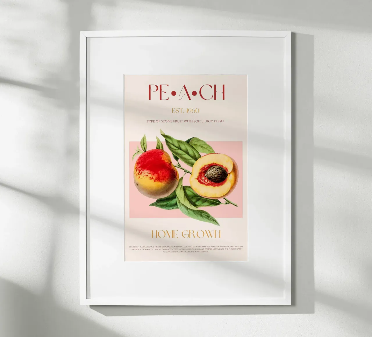 Pfirsich Obst Druck Poster von KOKRPrints