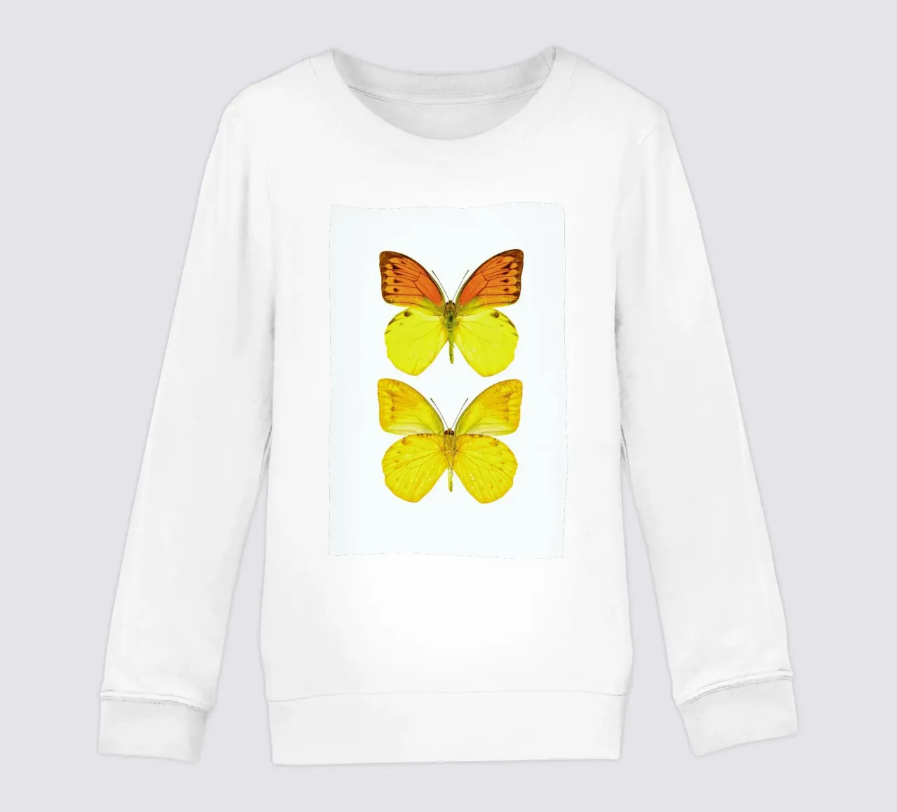 Butterfly 7 felpa bambino da Curious Collections by Marielle Leenders