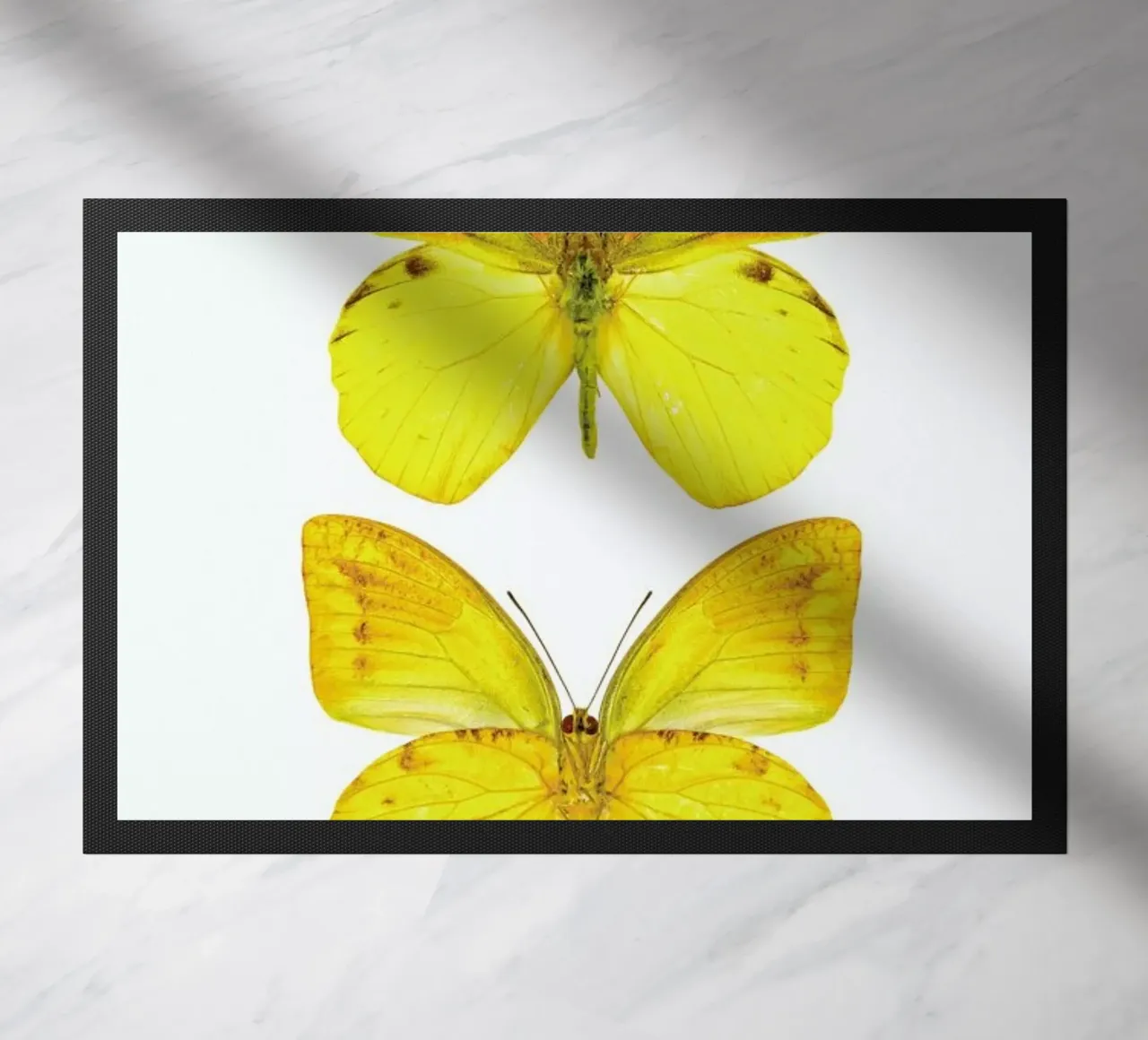 Butterfly 7 zerbino da Curious Collections by Marielle Leenders