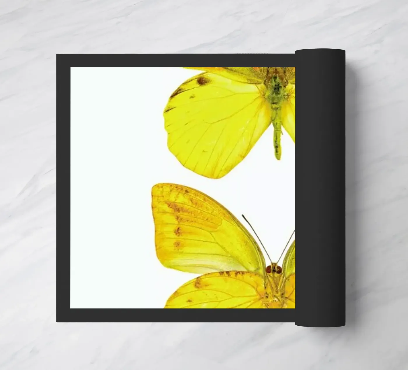 Butterfly 7 zerbino da Curious Collections by Marielle Leenders