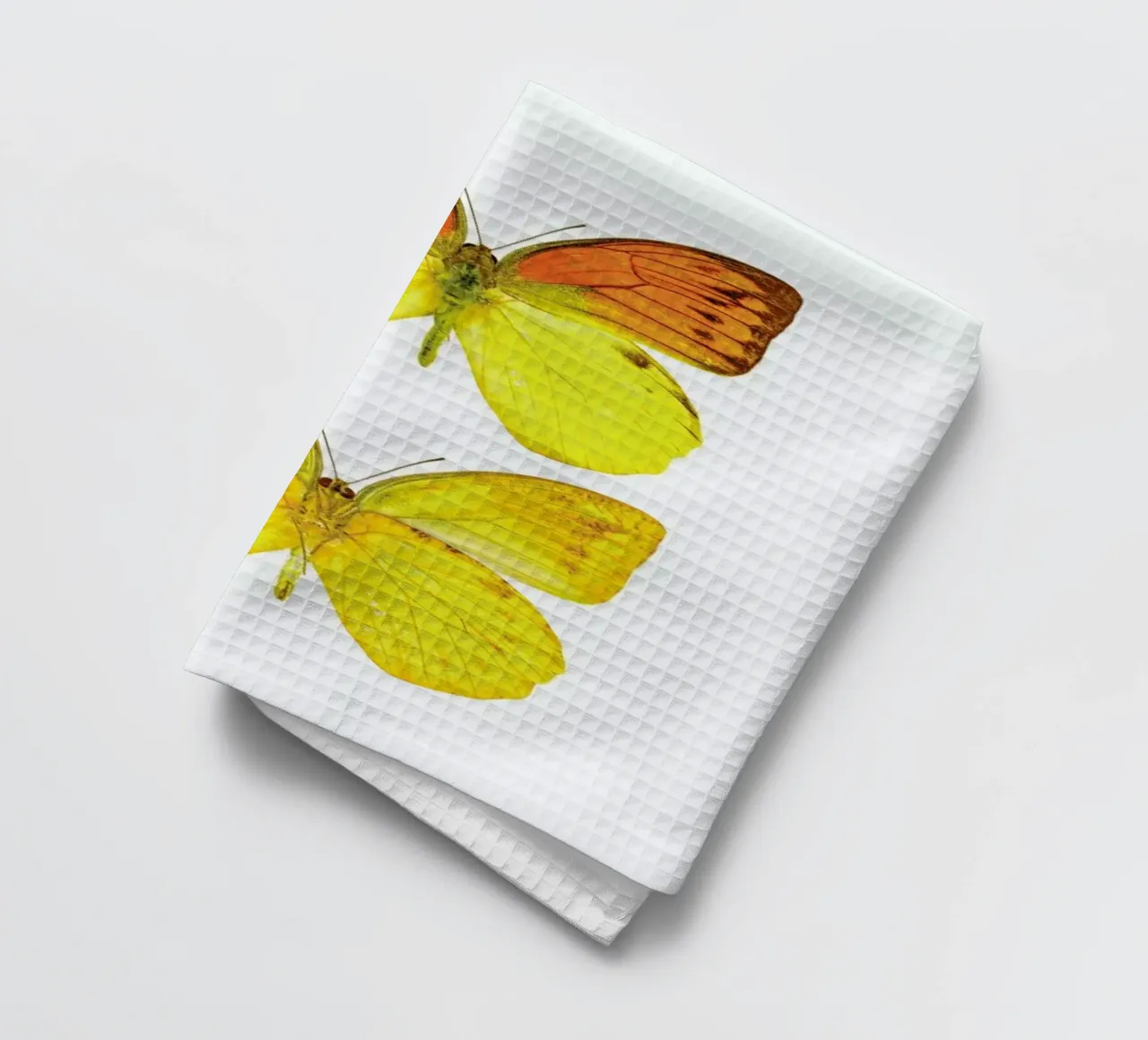 Butterfly 7 Geschirrtuch von Curious Collections by Marielle Leenders