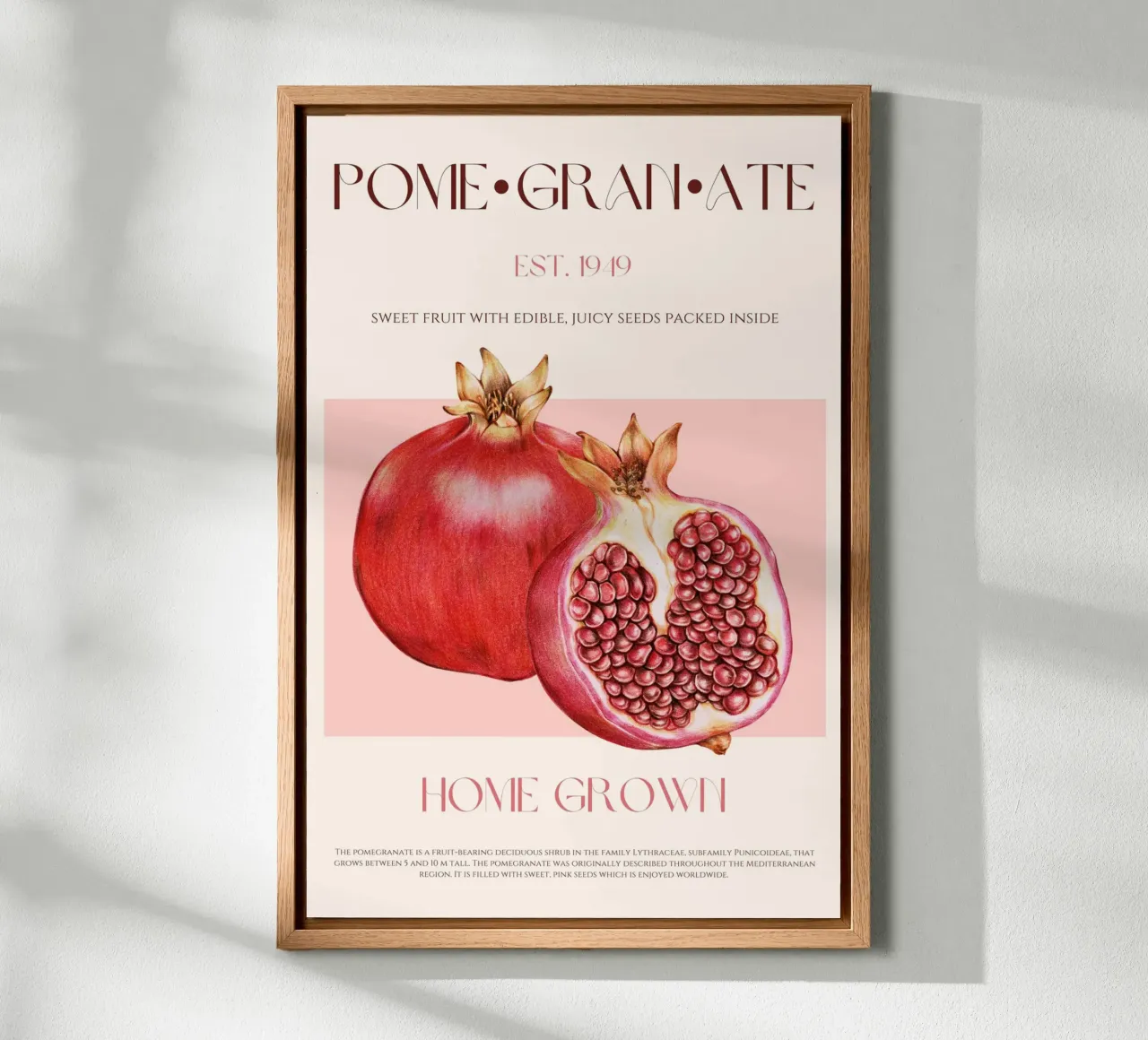 Pomegranate Fruit Print canvas with Floater frame by KOKRPrints