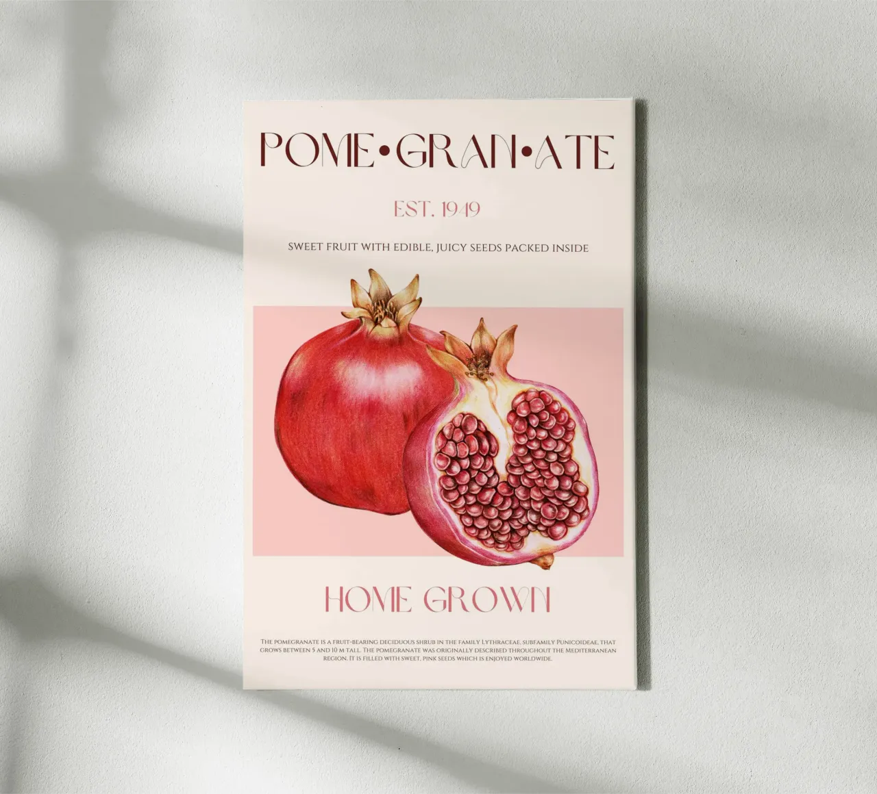 Pomegranate Fruit Print canvas with Floater frame by KOKRPrints