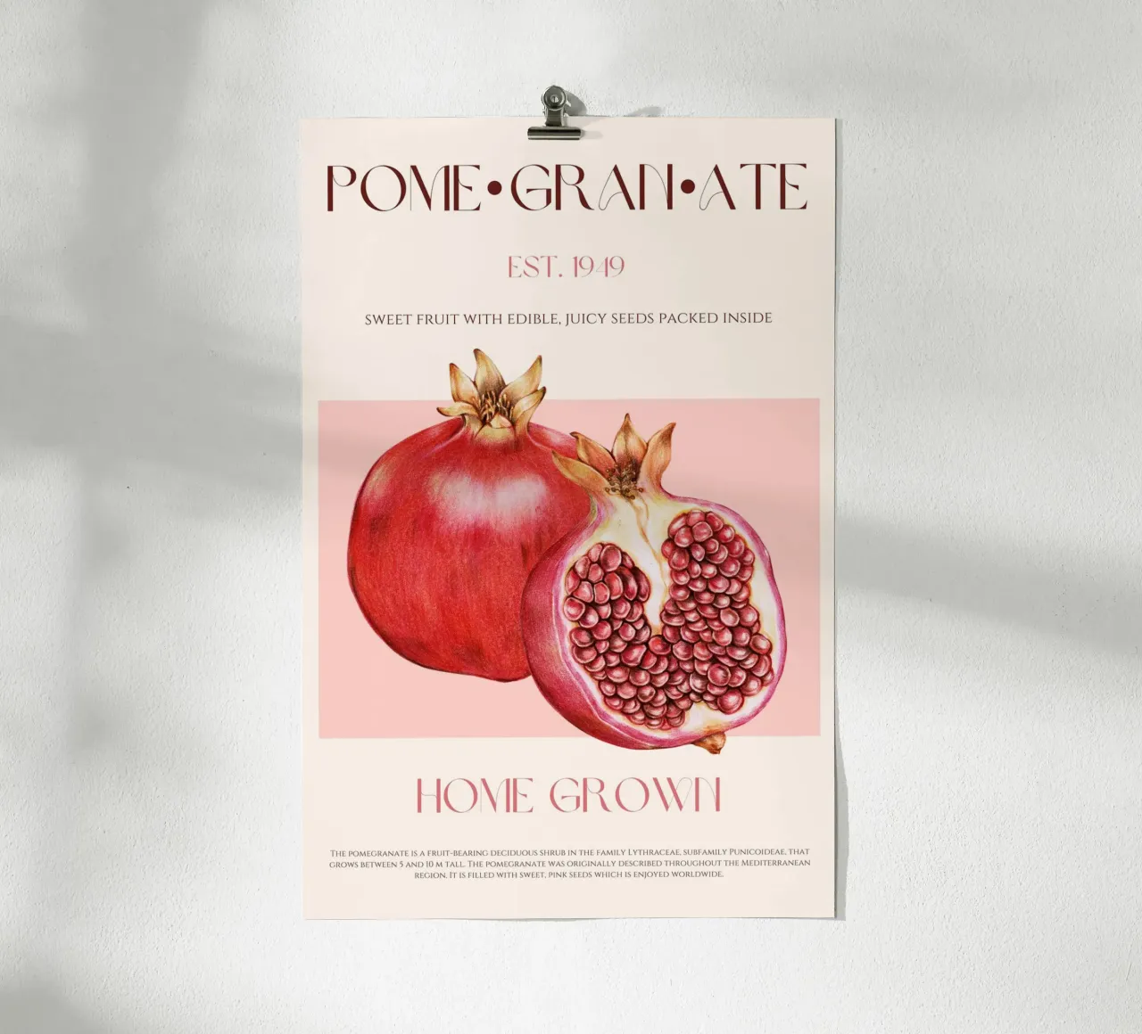 Pomegranate Fruit Print poster by KOKRPrints