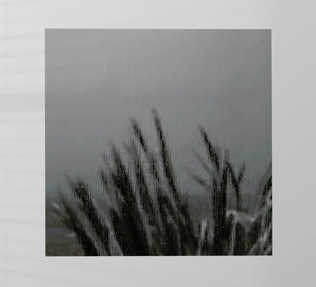 Lazy Day pellicola backlit da Nur Mut