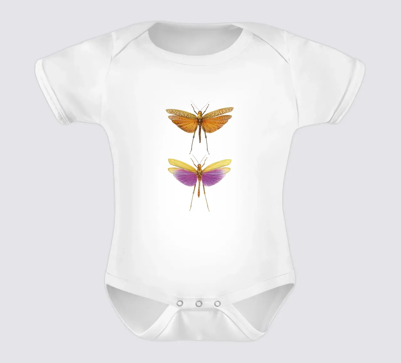 Armonia colorata: Due grilli body neonato maniche corte da Curious Collections by Marielle Leenders