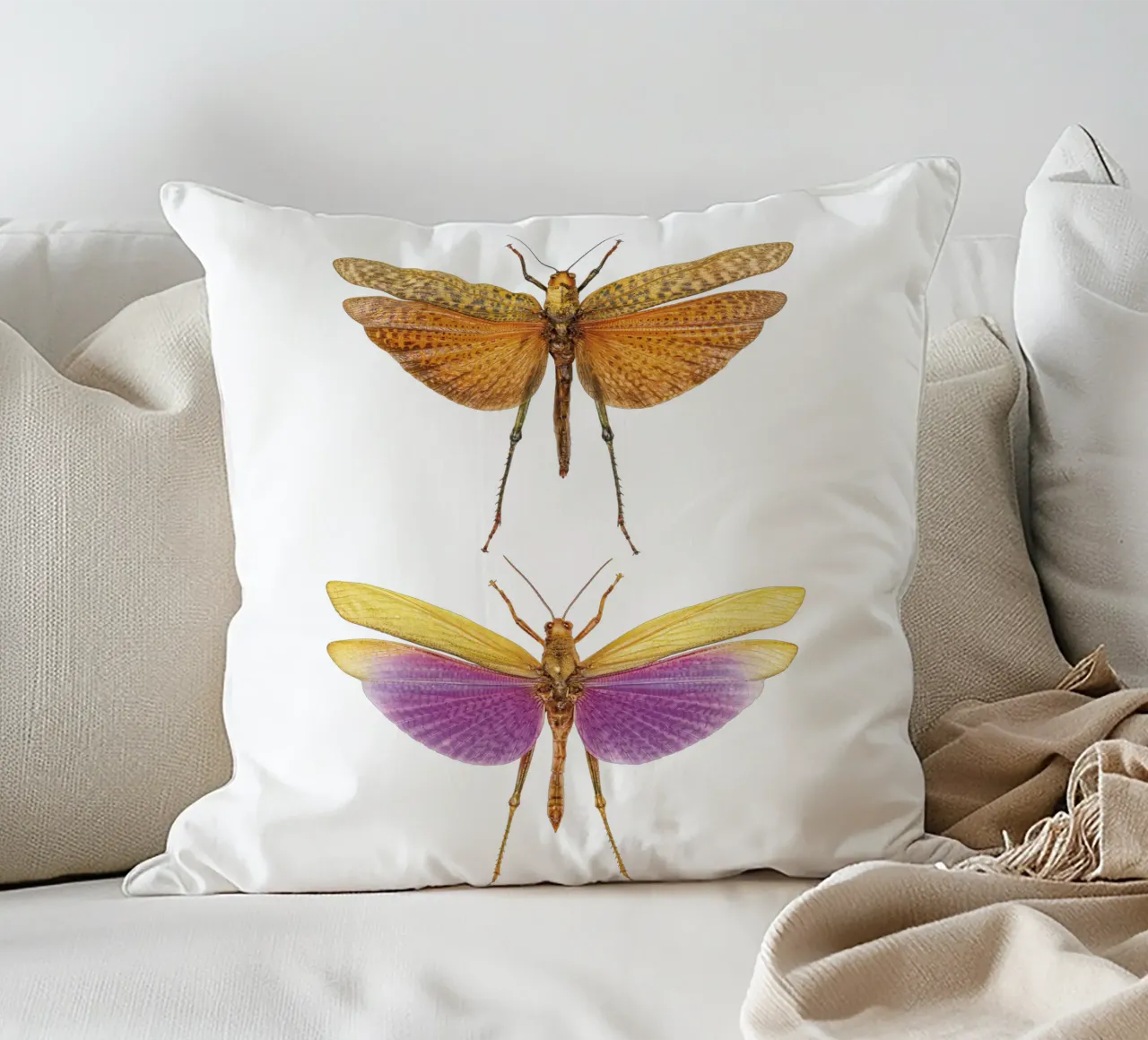 Armonia colorata: Due grilli cuscino da Curious Collections by Marielle Leenders