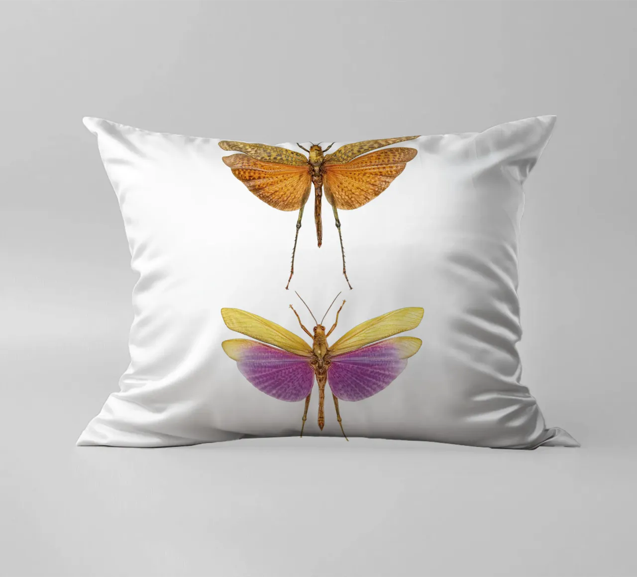Armonia colorata: Due grilli cuscino da Curious Collections by Marielle Leenders