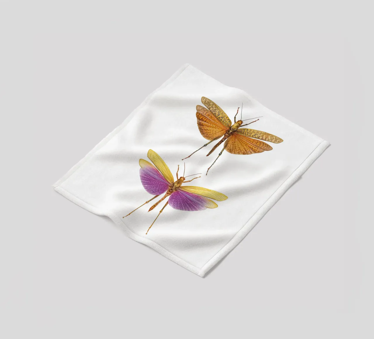 Armonia colorata: Due grilli coperta in pile da Curious Collections by Marielle Leenders