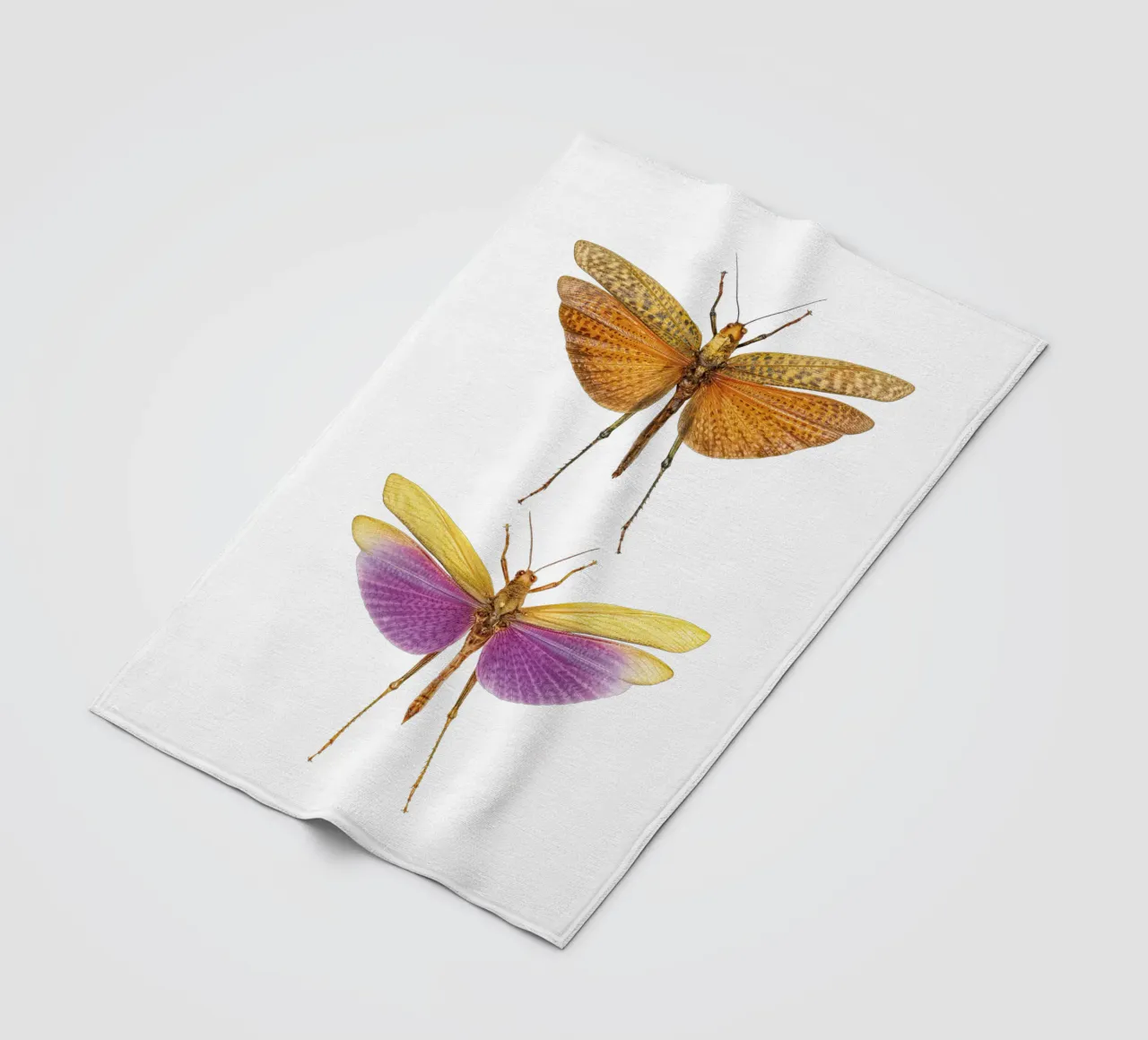 Armonia colorata: Due grilli coperta in pile da Curious Collections by Marielle Leenders