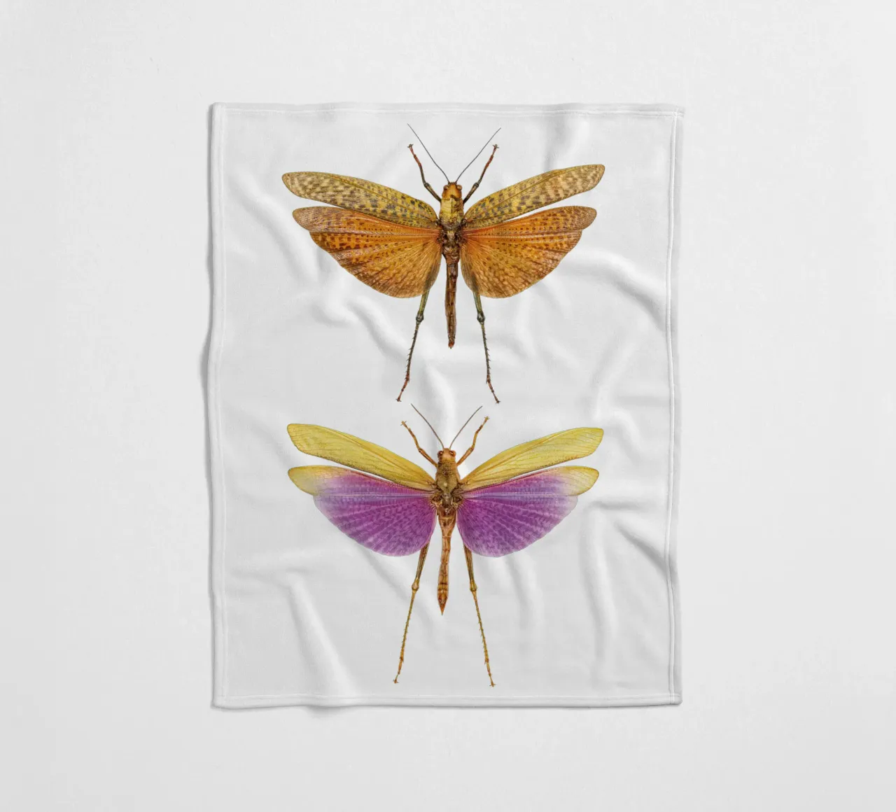 Armonia colorata: Due grilli coperta in pile da Curious Collections by Marielle Leenders