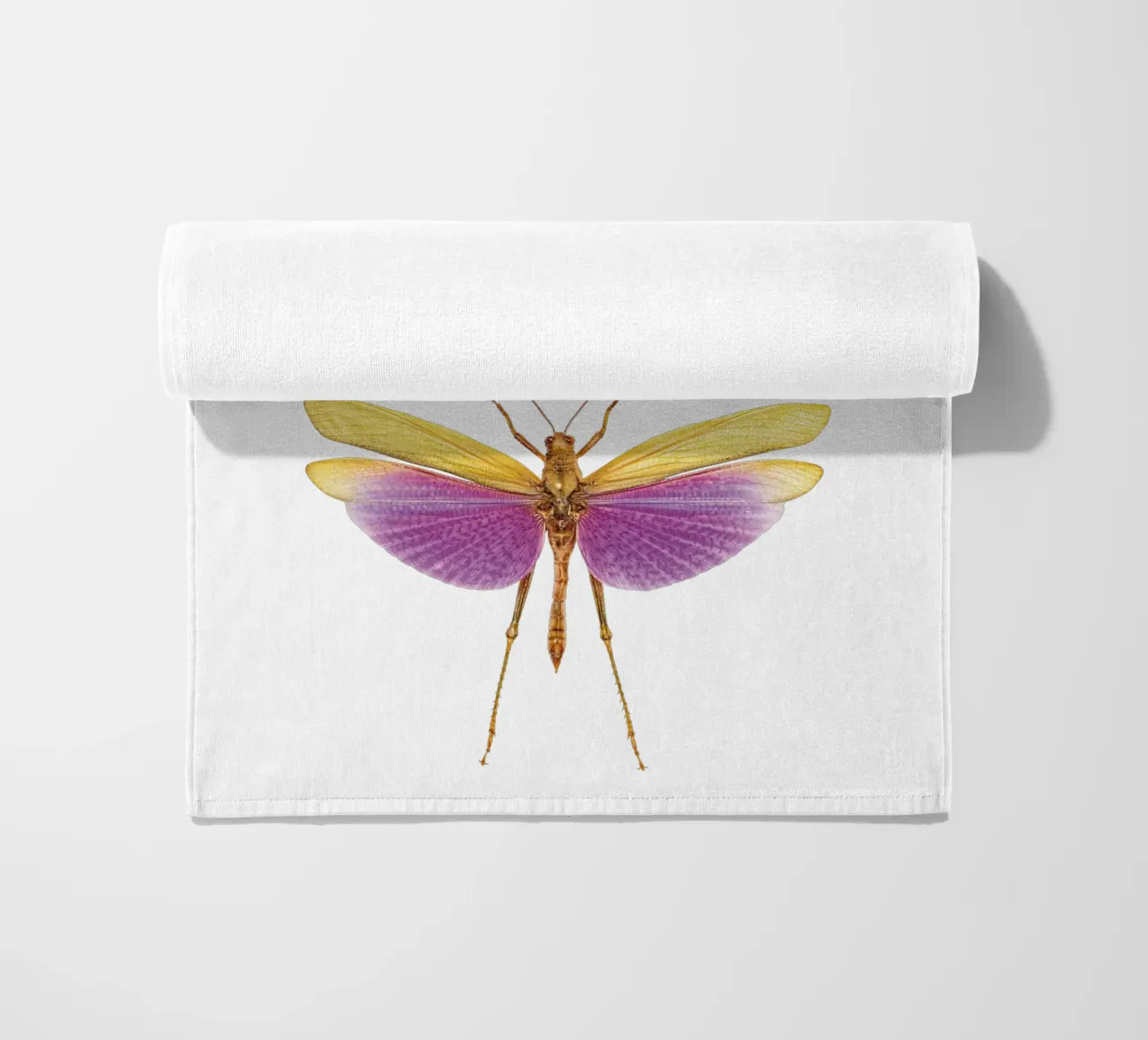 Armonia colorata: Due grilli telo mare da Curious Collections by Marielle Leenders