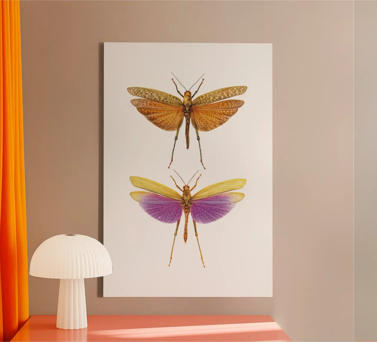 Armonia colorata: Due grilli tela con Cornice a cassetta da Curious Collections by Marielle Leenders