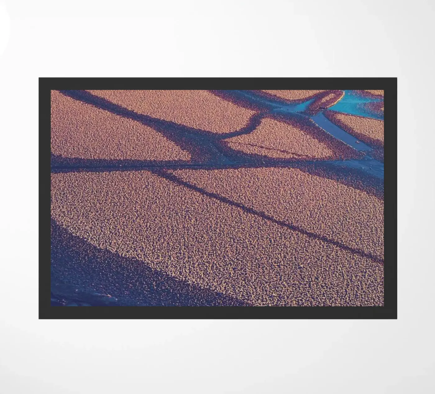 The Carpet zerbino da Pale Grain