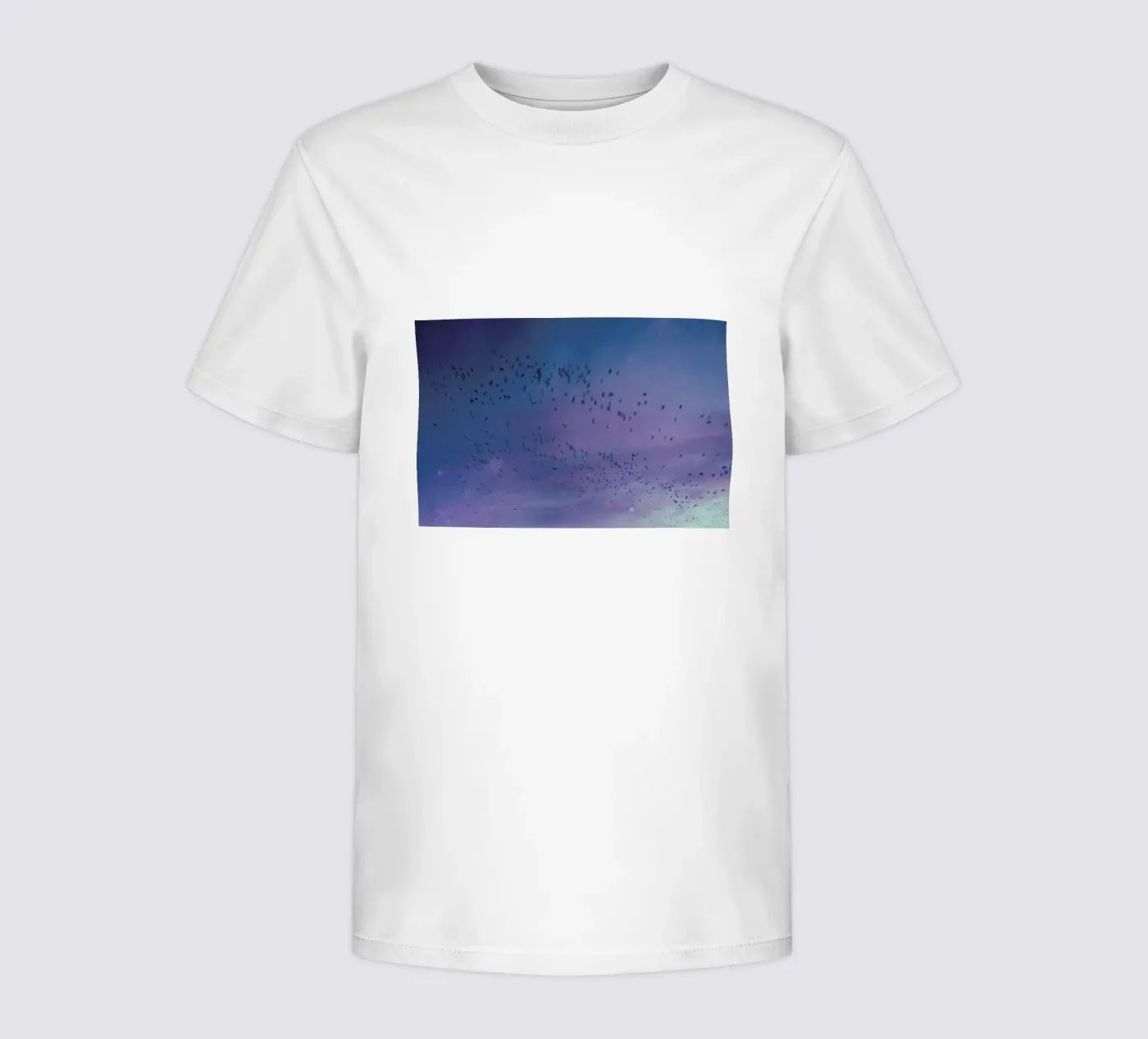 The Crows kinder t-shirt van Pale Grain