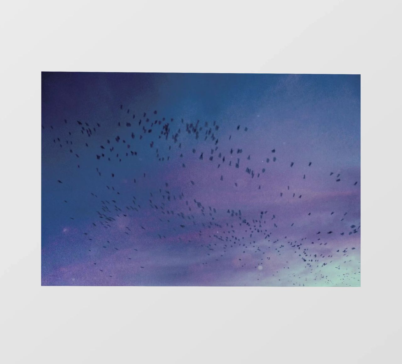 The Crows pellicola backlit da Pale Grain