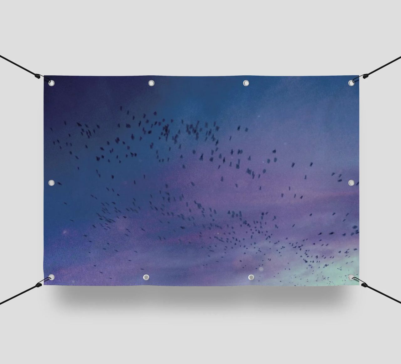 The Crows telo in pvc da Pale Grain