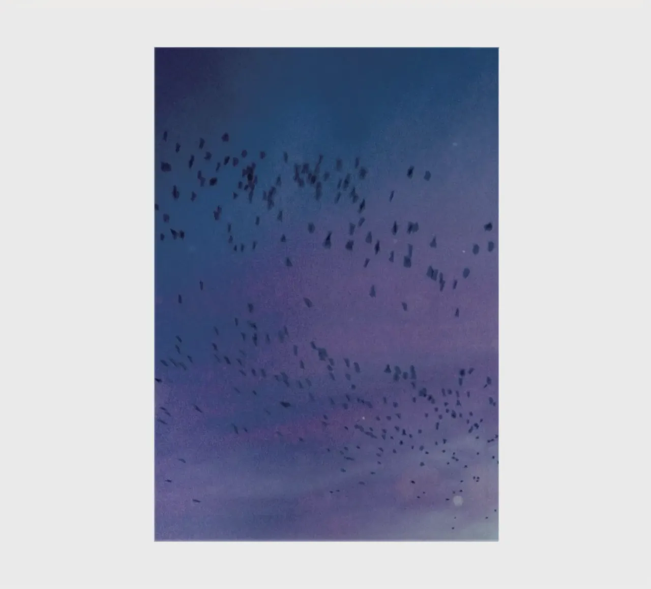 The Crows Notizbuch von Pale Grain