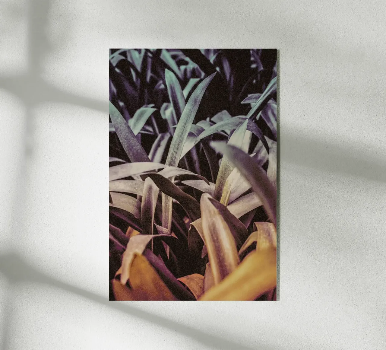 The Garden plexiglass da Pale Grain