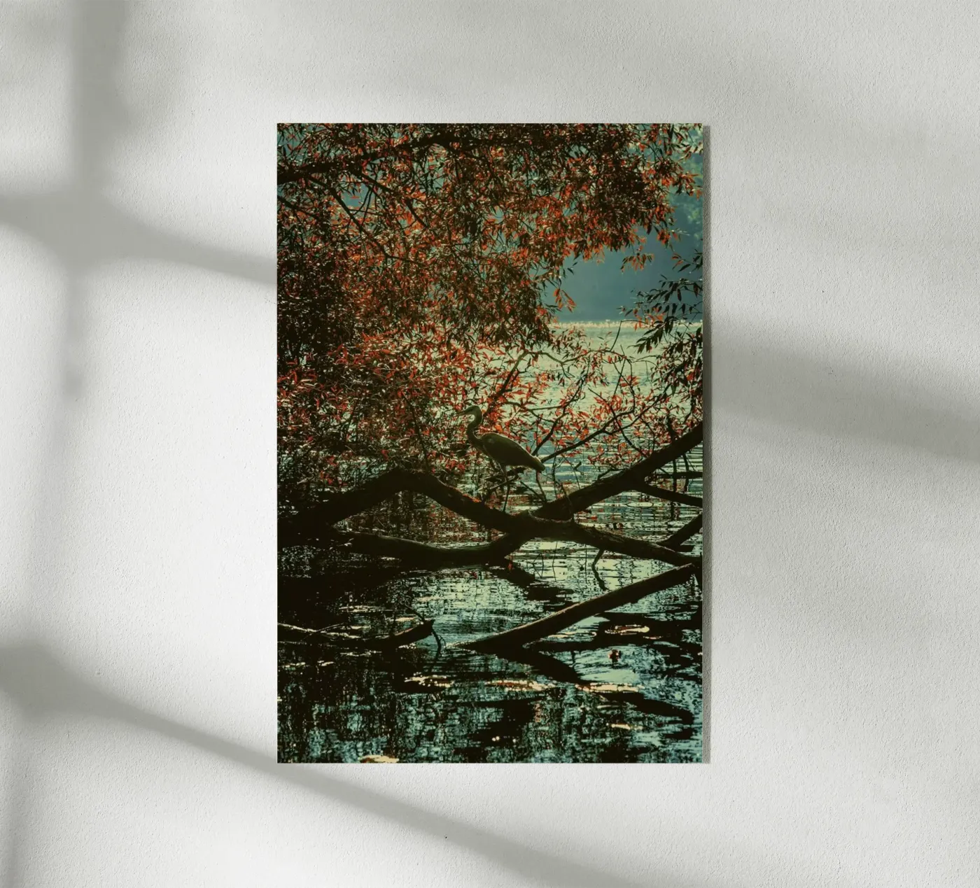 The Hunt plexiglass da Pale Grain