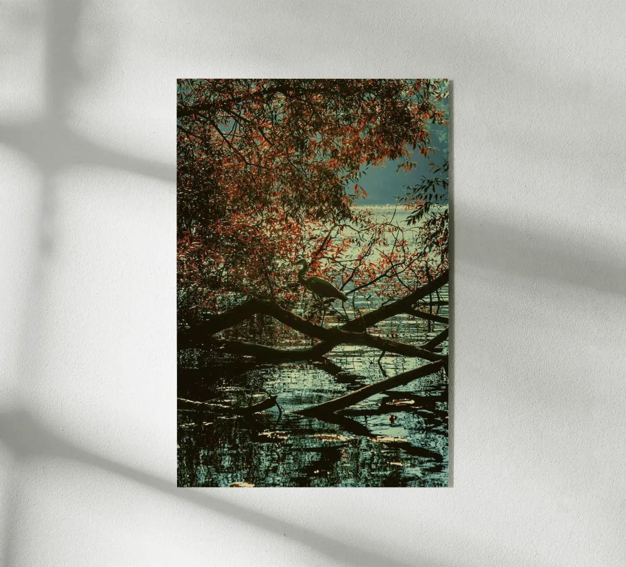 The Hunt plexiglass da Pale Grain