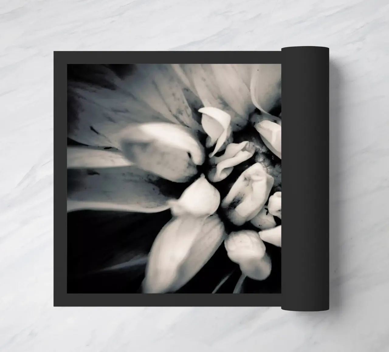 Petal zerbino da Victoria Frost