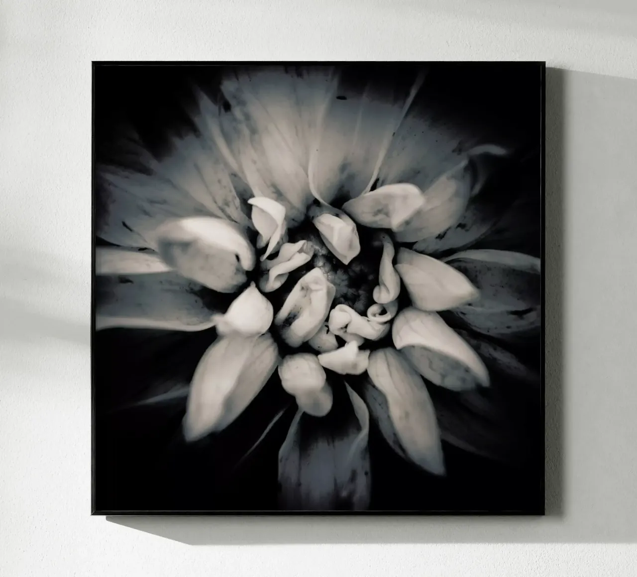 Petal plexiglass da Victoria Frost