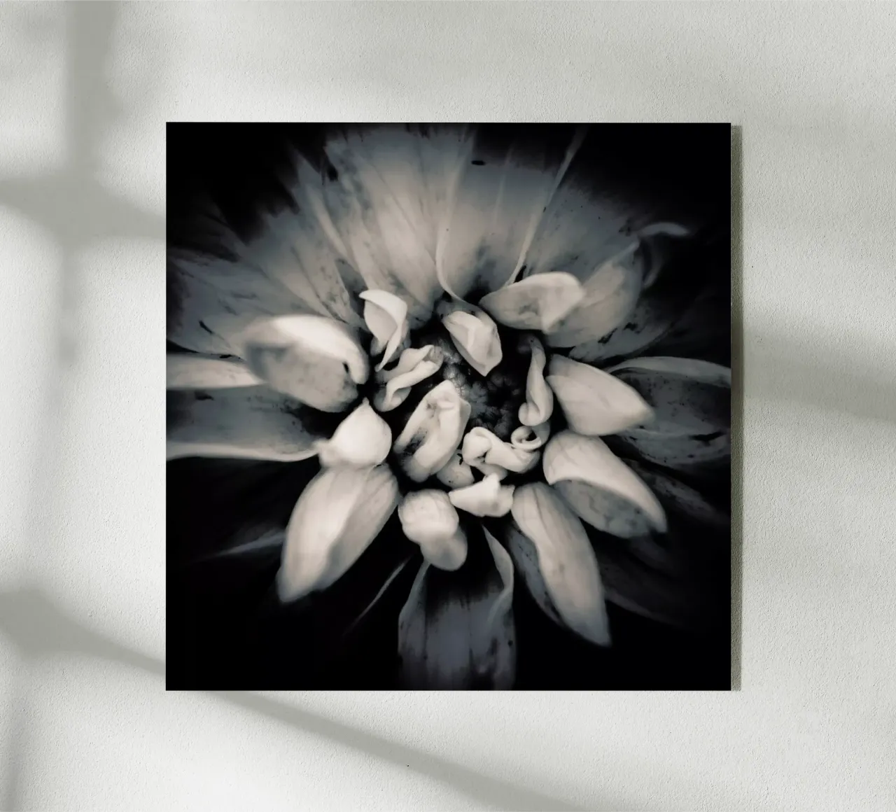 Petal plexiglass da Victoria Frost