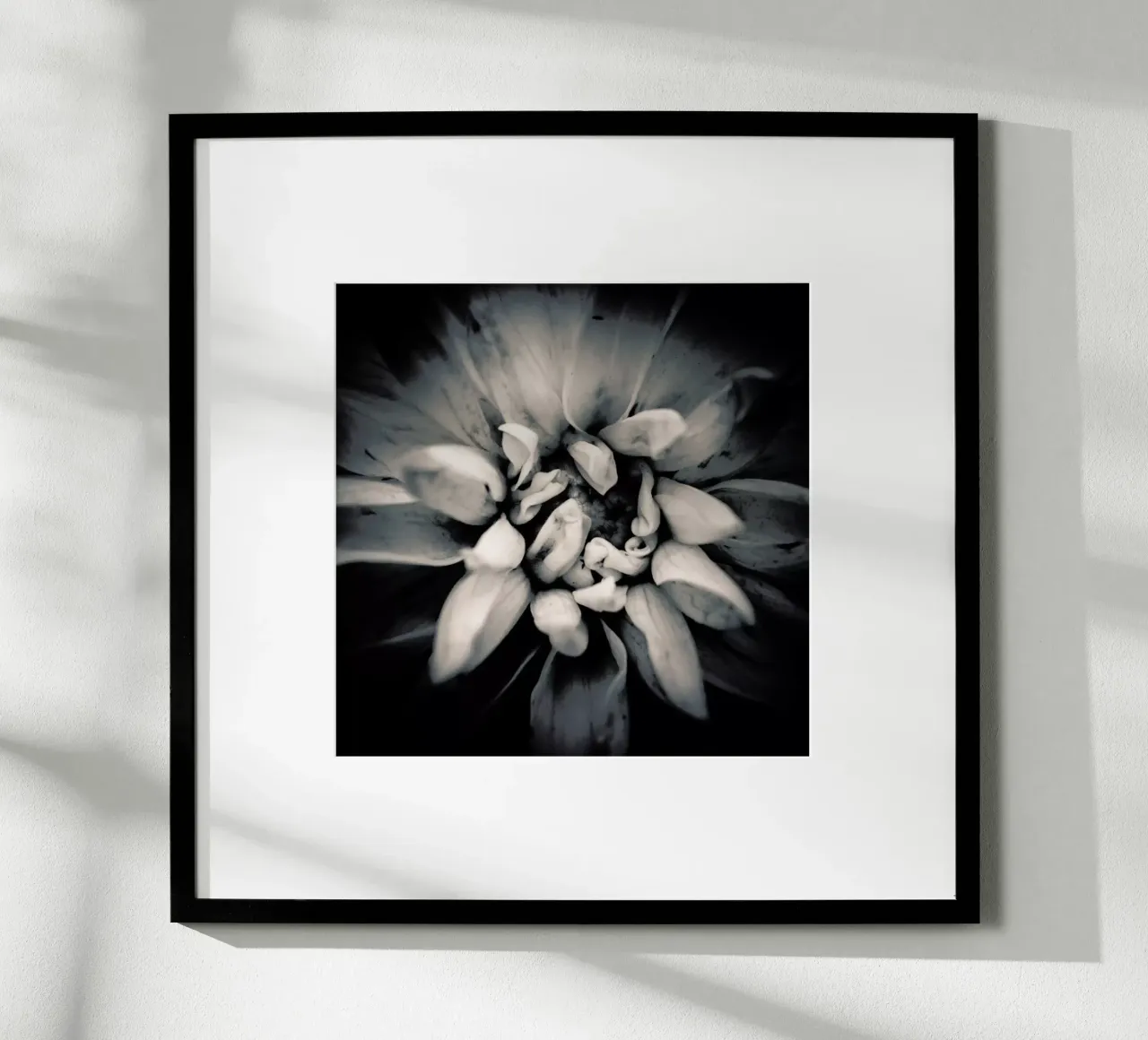 Petal poster da Victoria Frost