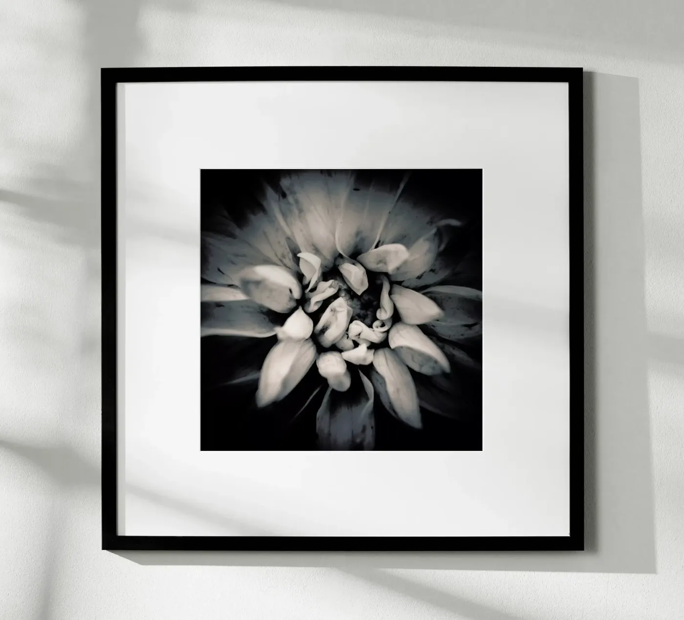 Petal poster da Victoria Frost