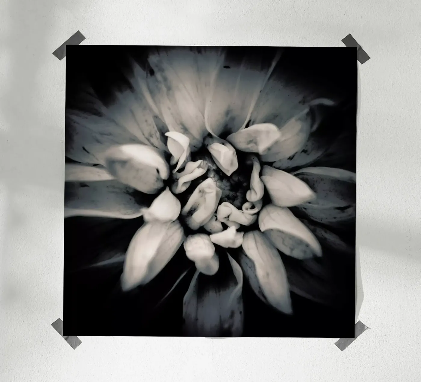 Petal poster da Victoria Frost