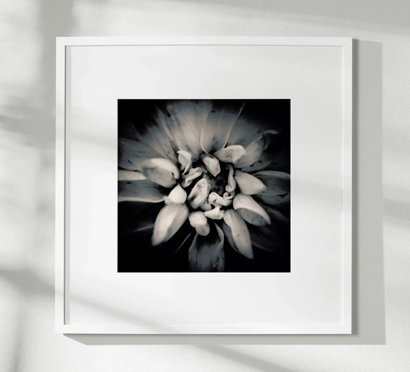 Petal poster da Victoria Frost