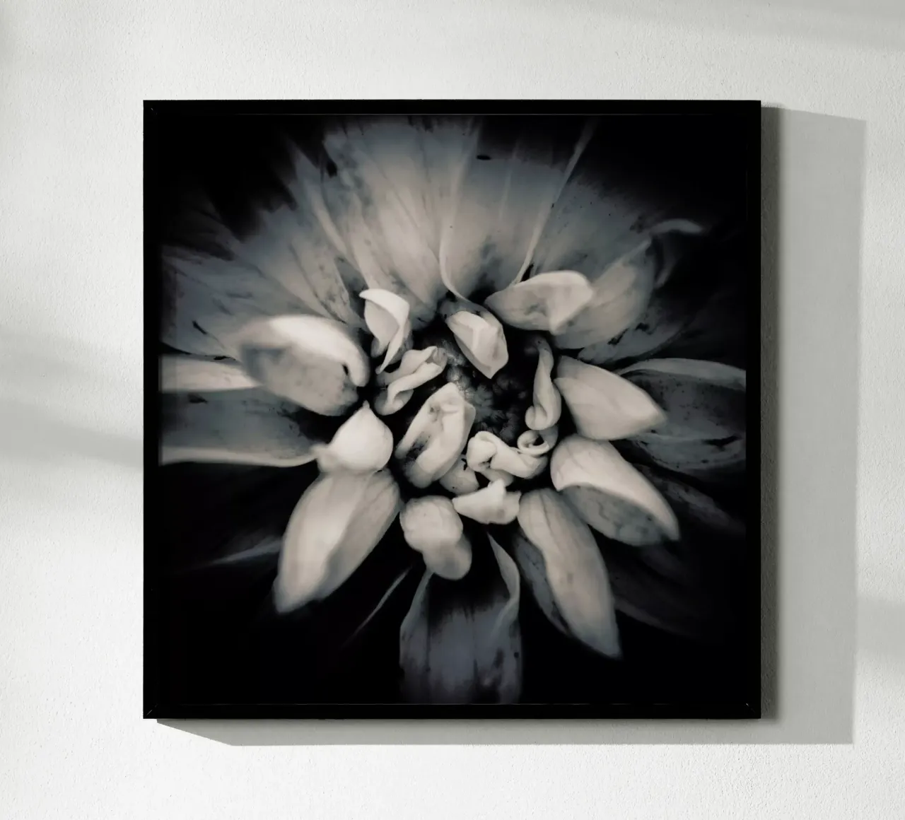 Petal poster da Victoria Frost