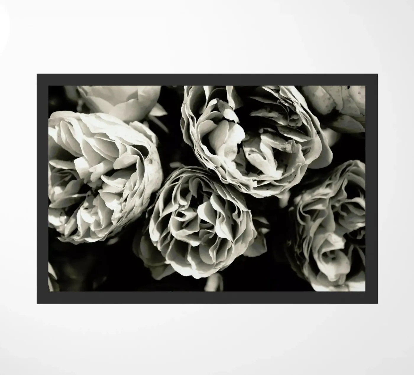 Petals zerbino da Victoria Frost