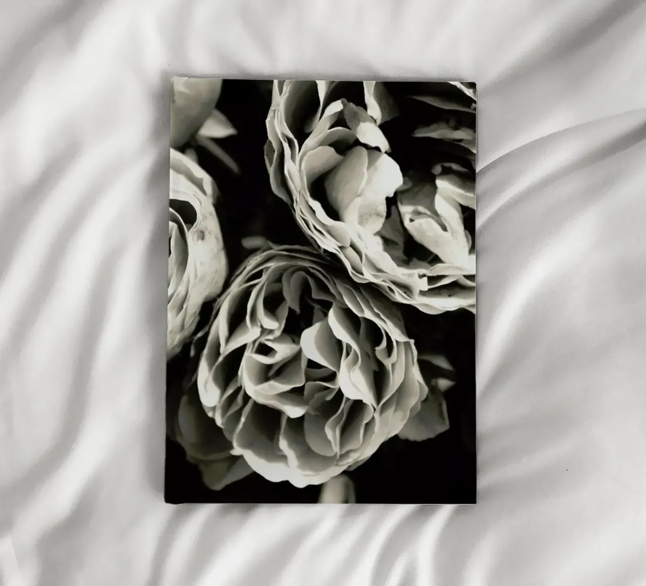 Petals carnet de notes de Victoria Frost