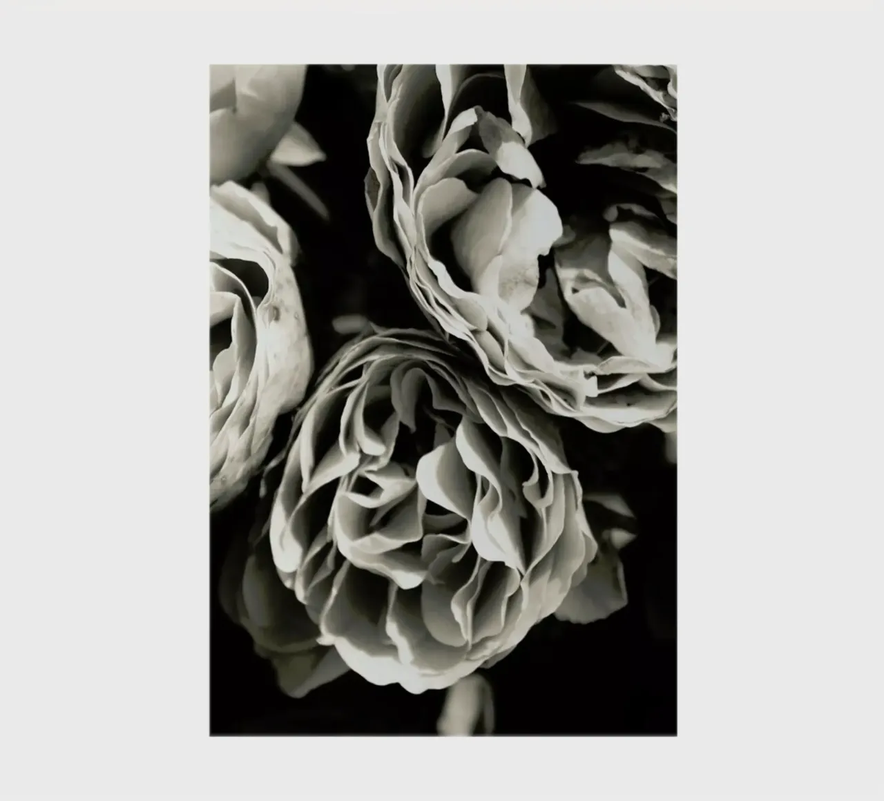 Petals carnet de notes de Victoria Frost