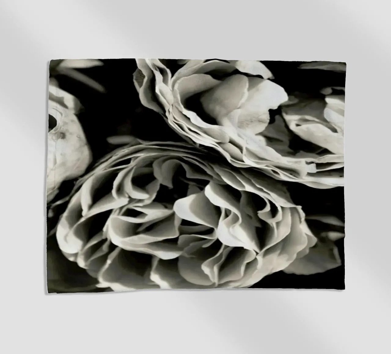 Petals telo mare da Victoria Frost