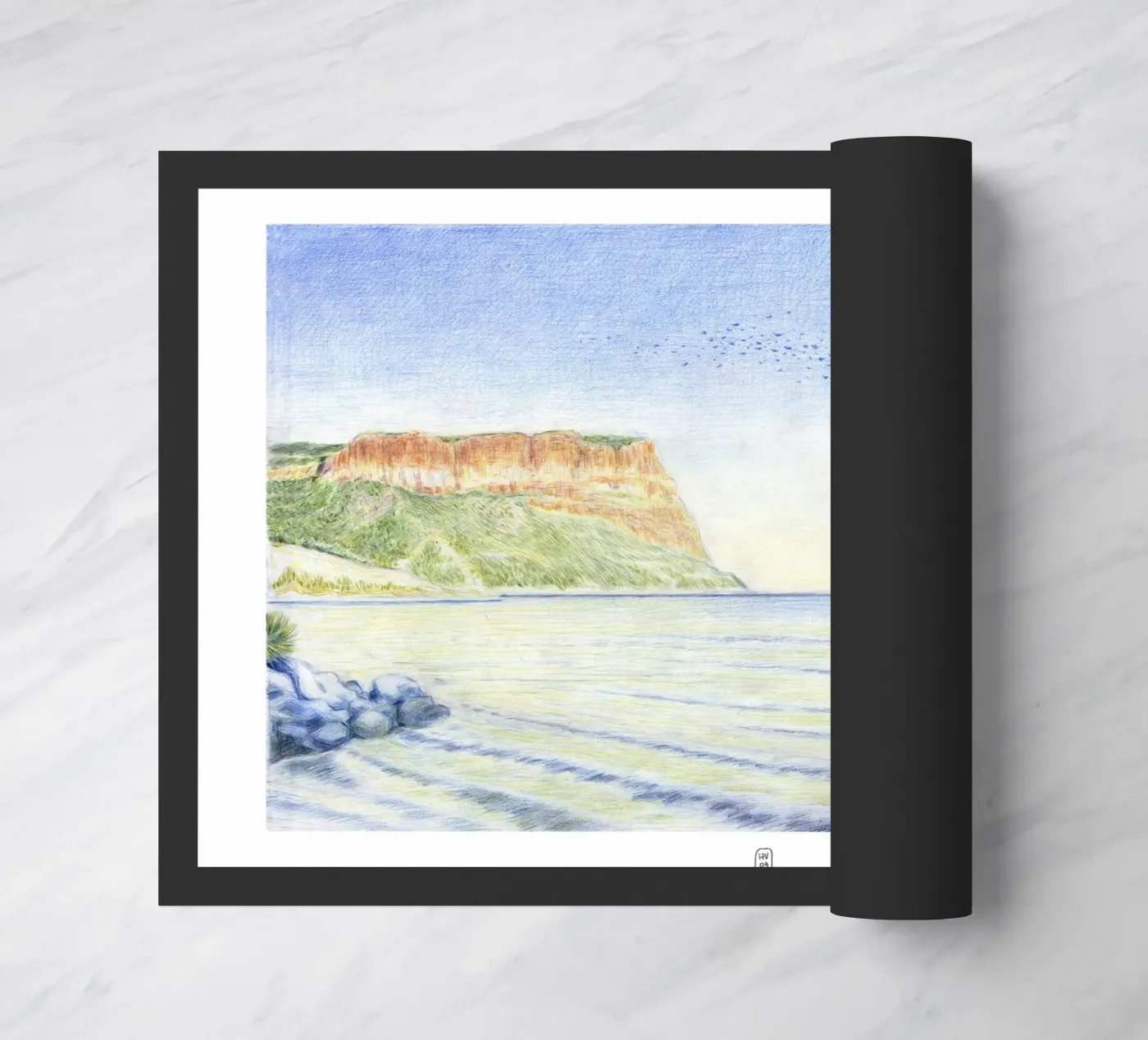 Cassis Dream zerbino da Humphrey VIDAL