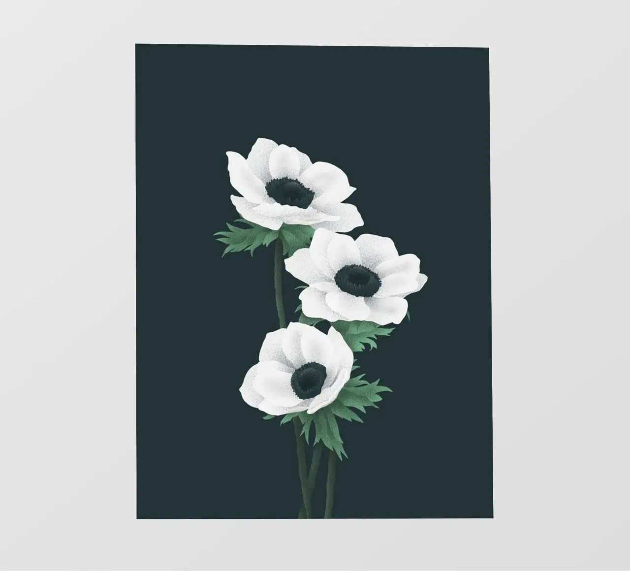 Anemoni bianchi pellicola backlit da Katja Stehle Design