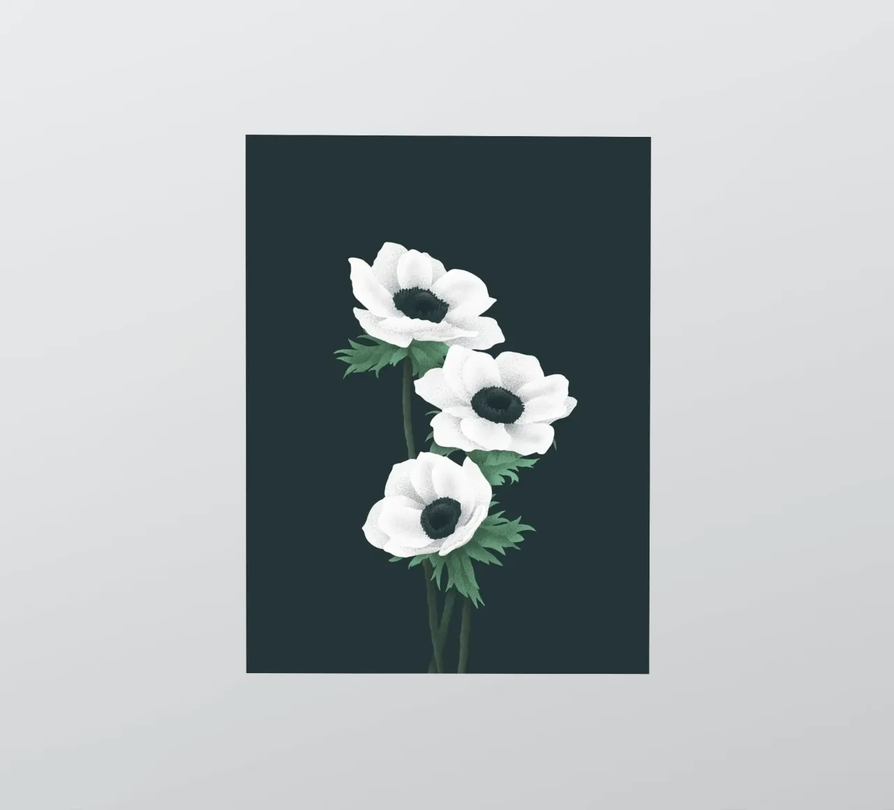 Anemoni bianchi adesivo da Katja Stehle Design