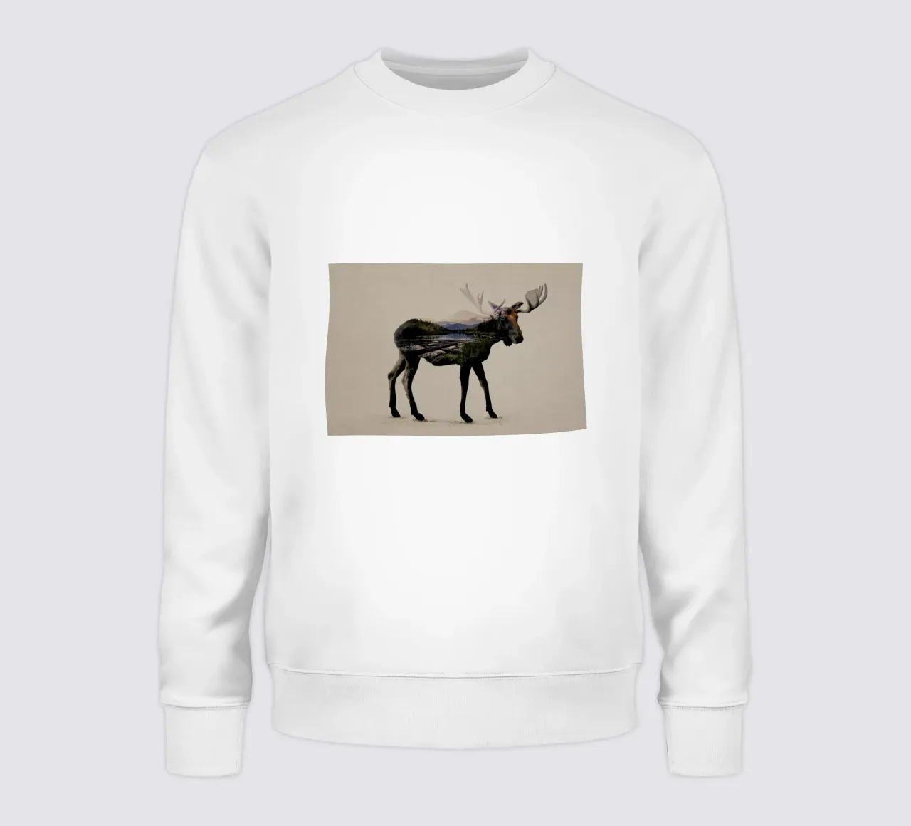 Moose sweatshirt by Davies Babies