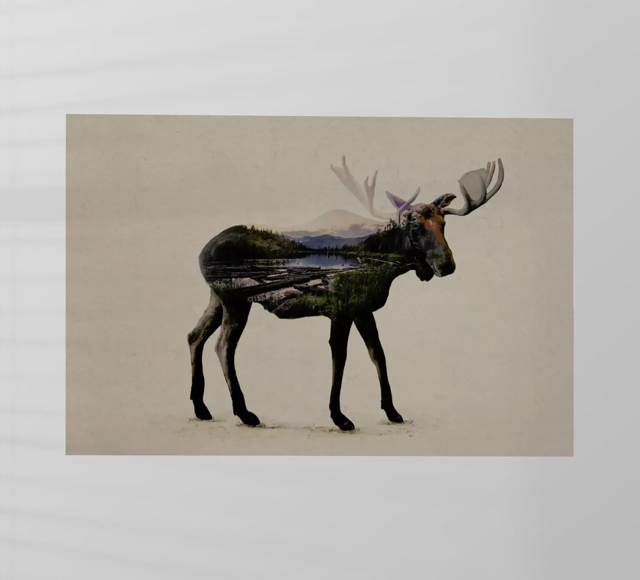 Moose pellicola backlit da Davies Babies