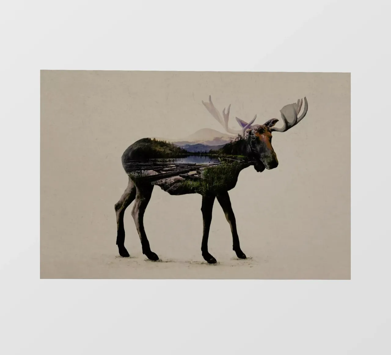 Moose pellicola backlit da Davies Babies