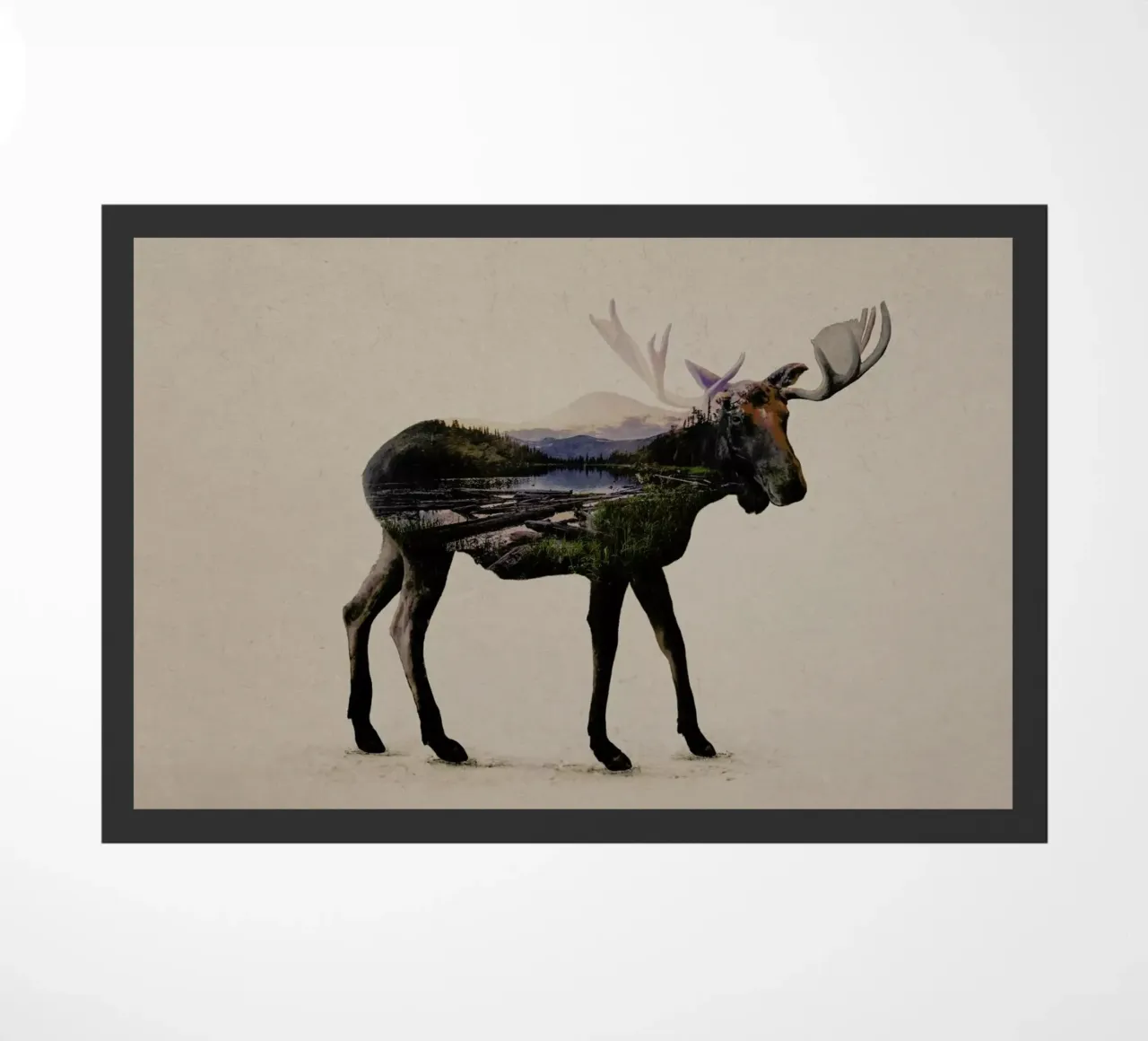 Moose zerbino da Davies Babies