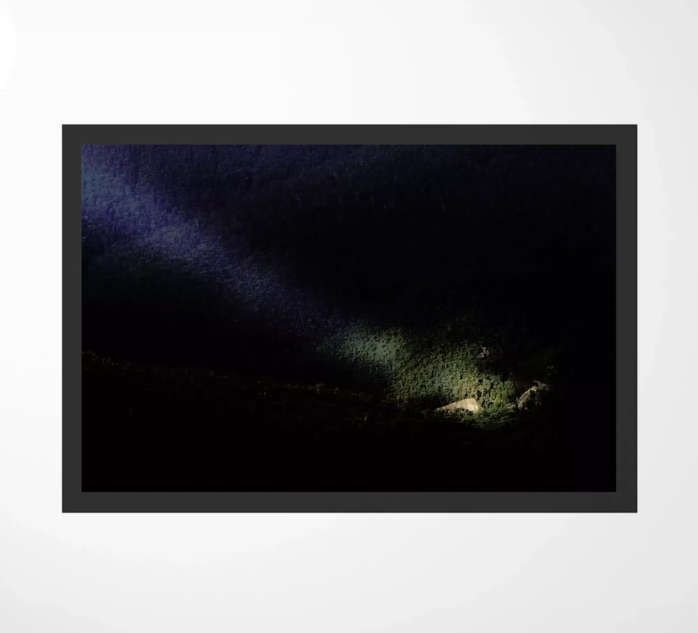 Blue Mountains Light zerbino da Julian Wolkenstein