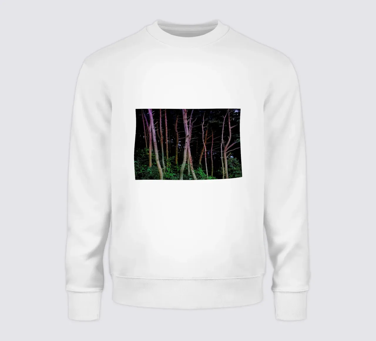 Busan Trees felpa da Julian Wolkenstein