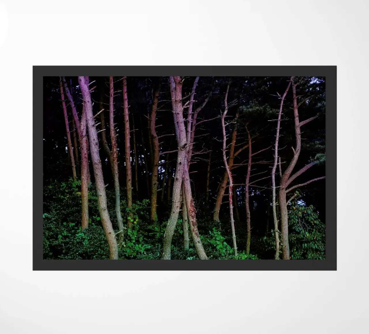 Busan Trees doormat by Julian Wolkenstein